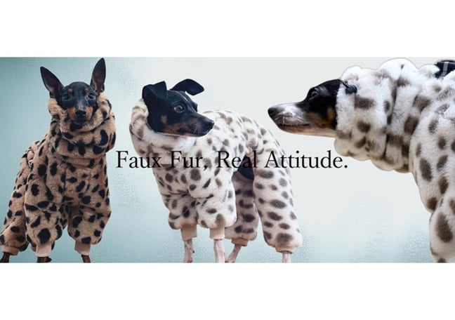 USHH_Italiangreyhound