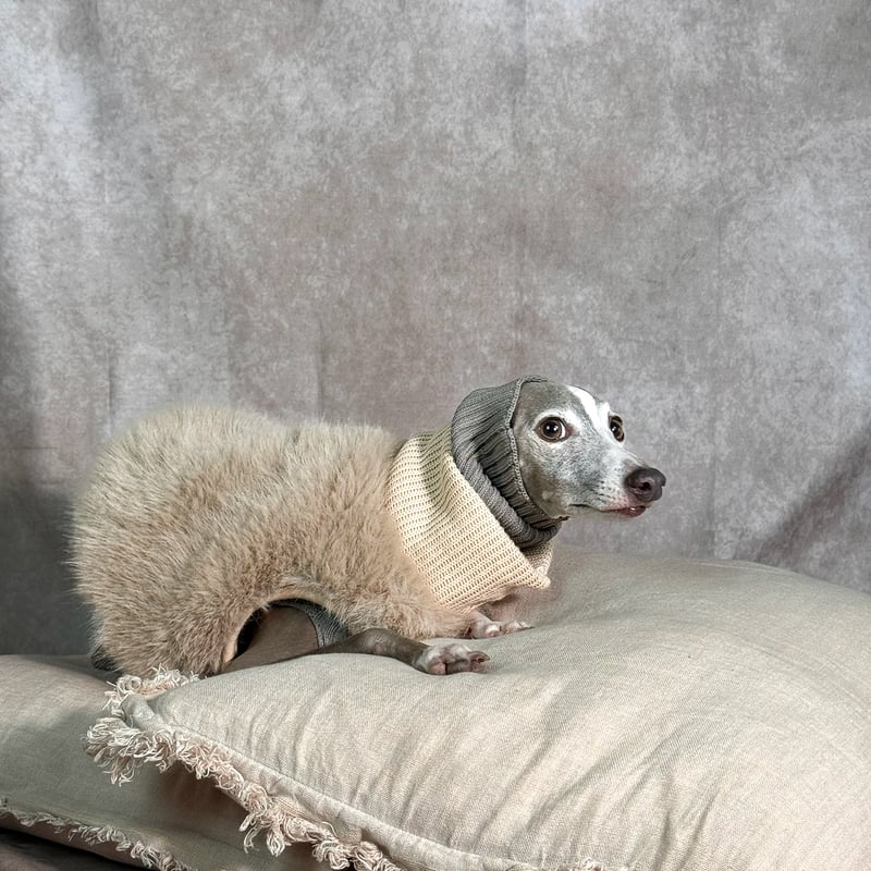 ECO FUR SHORT VEST:Light beige//エコファーショートベスト: ラ