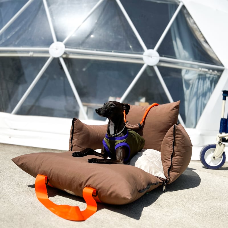 USHH BAG> <弱撥水タイプ>MULTI CURRY SOFA BED:マルチキャリ