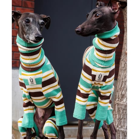 USHH_Italiangreyhound