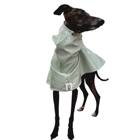 Enamel patent  rain coat: pistachio //エナメルパテントレインコート:ピスタチオ