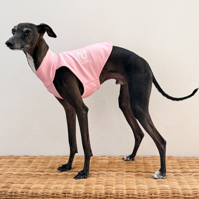 Neoprane zip-up half1/2 tops pink //ネオプレンジップアップ