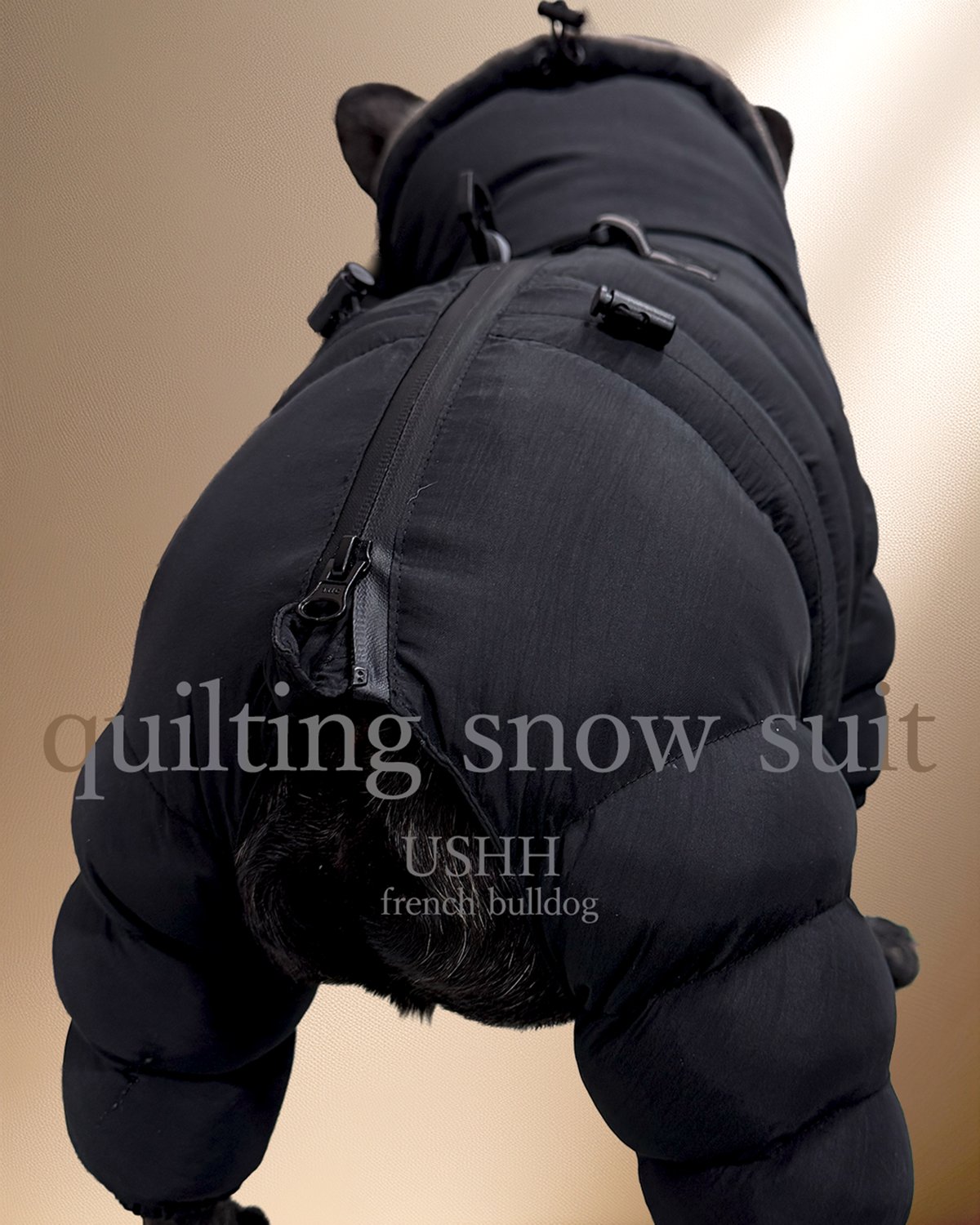 FRENCH BULLDOG> QUILTING SNOW SUIT:DUSTY BLUE
