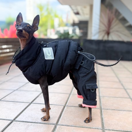 FLIGHT CARGO PANTS:BLACK //ﾌﾗｲﾄカーゴパンツ:ﾌﾞﾗｯｸ