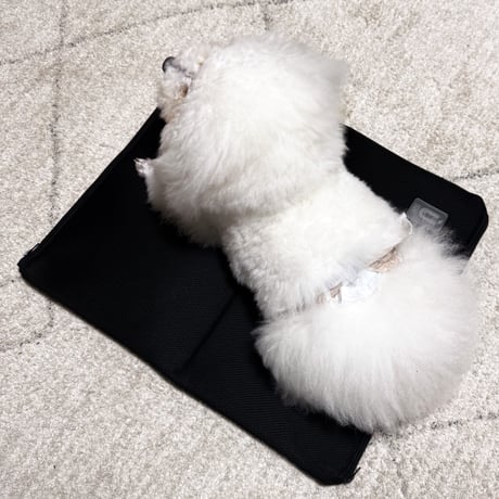 <USHH　BAG 専用附属>COOLING SHEET//クーリングシート