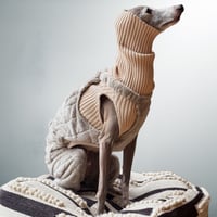 USHH_Italiangreyhound