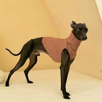 Rib stretch knit tops:CAMEL// リブストレッチニットトップス: キャメル