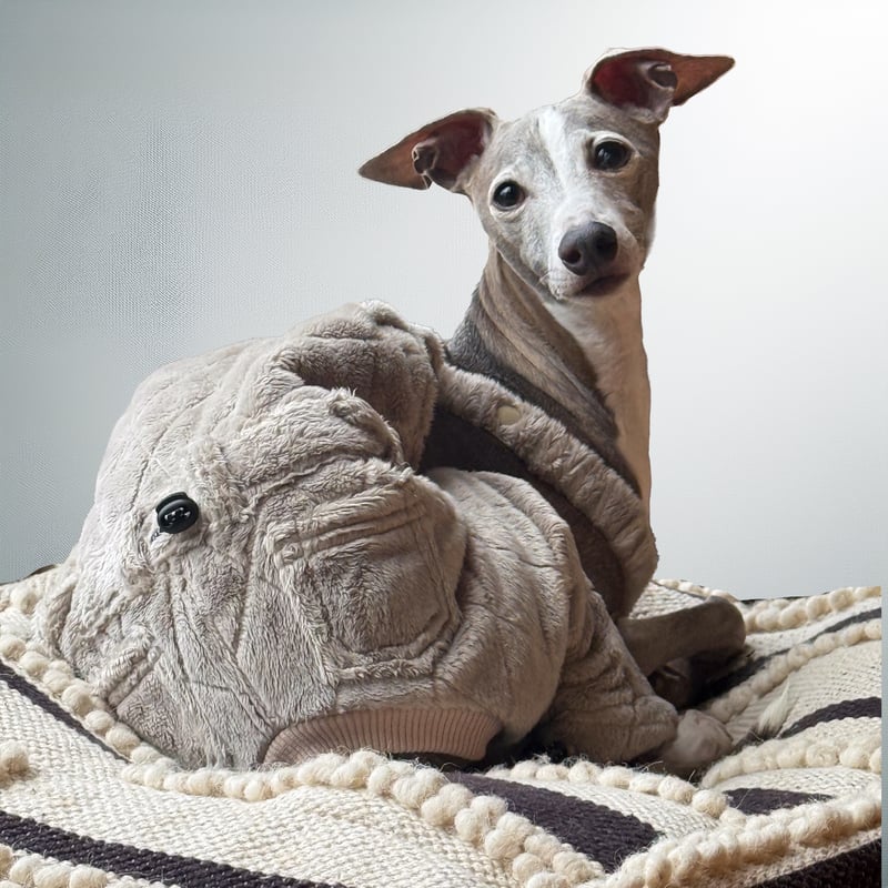 Boa Quilting Over~All:ECRU //ボアキルティングオーバーオール: