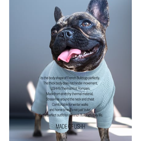 フレンチブルドッグ | STORES