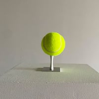 アンチテイル｜Astro Ball