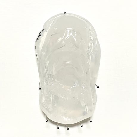 林 葵衣 softhope 06