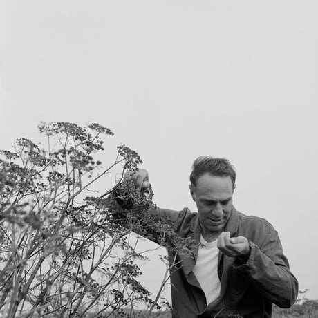 奥宮誠次 | Derek Jarman with Seeds