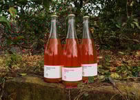 ぶさいくワイン スパークリング　BUSAIKU WINE Sparkling 2021　720ml