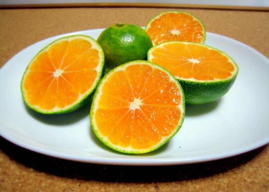5f6597f43ae0f4458c69fce2