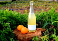 ぶさいくワイン スパークリング　BUSAIKU WINE Sparkling 2018　720ml