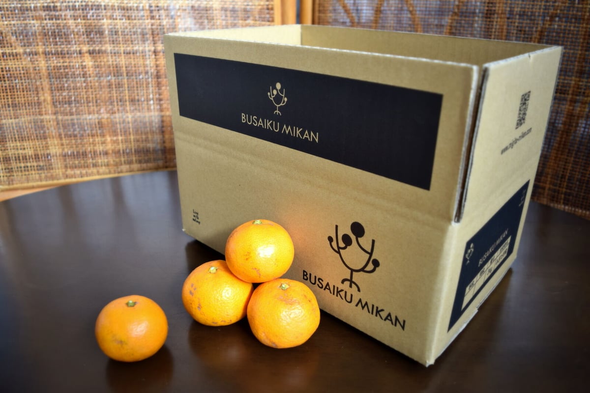 ぶさいくミカン BUSAIKU MIKAN 金峯 7kg | 右田柑橘 オンライン ぶさいくミカン BUSAIKU MIKAN 金峯 7kg | 右田柑橘 オンライン
