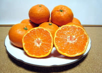 ぶさいくミカン　BUSAIKU MIKAN　金峯　3kg