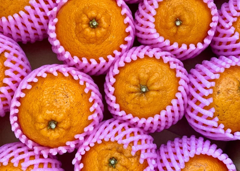 オレンジタウンかまぼこです西武警察 PART 2Vol-①～Vol-⑩D osawamarine_ns-10z-2