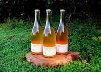 ぶさいくワイン スパークリング　BUSAIKU WINE Sparkling 2022　720ml