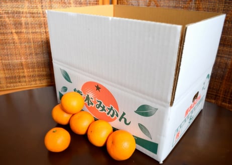 右田さんちのべっぴんさん　日南一号　5kg