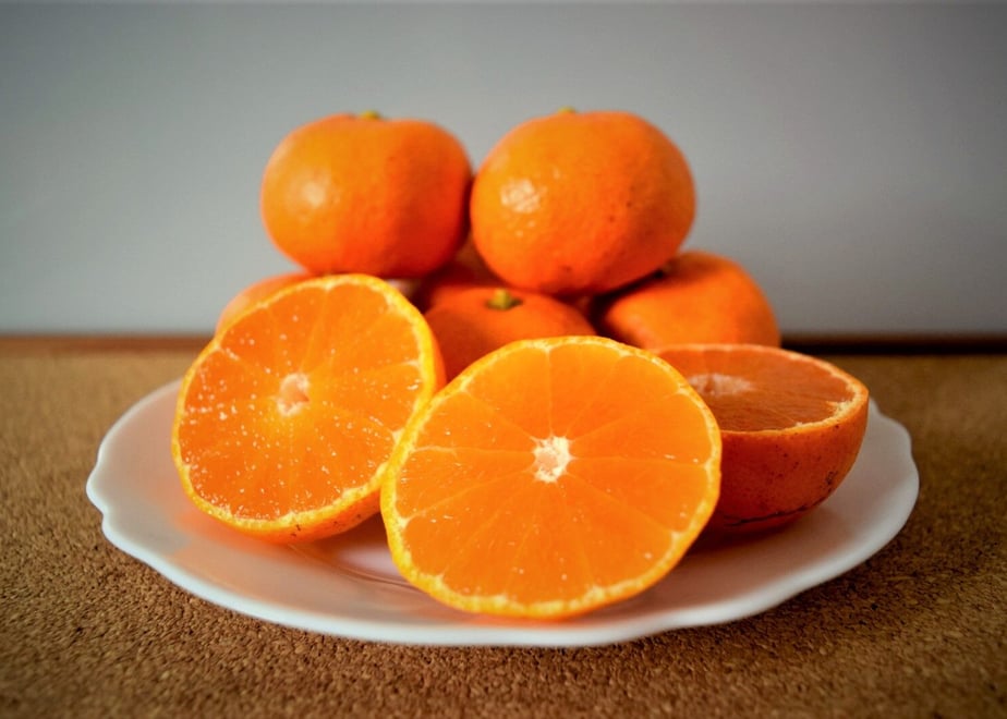 6196e2c77e588f1cf64d8bb1