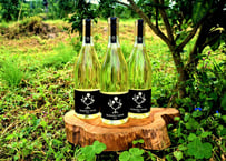 ぶさいくワイン　BUSAIKU WINE 2021　720ml