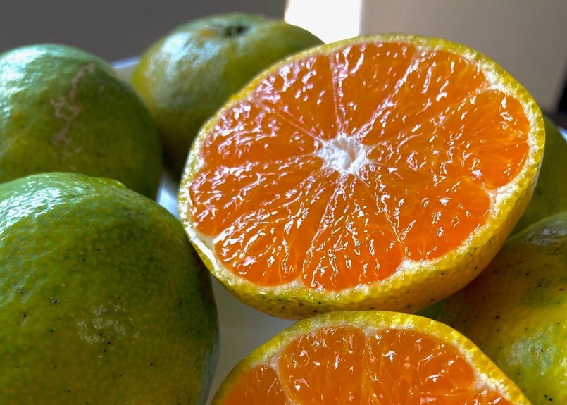 有機JAS認証】ぶさいくミカン BUSAIKU MIKAN 肥のあかり 3kg 有機JAS認証】ぶさいくミカン BUSAIKU MIKAN 肥のあかり 3kg