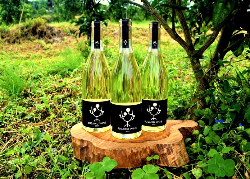 期間限定】みかんワインギフトセット【冬ギフト2022】 | 右田柑橘