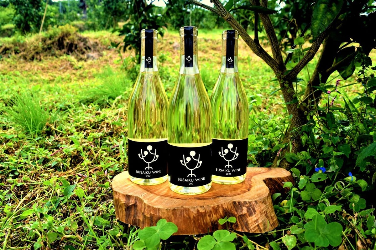 期間限定】みかんワインギフトセット【冬ギフト2022】 | 右田柑橘