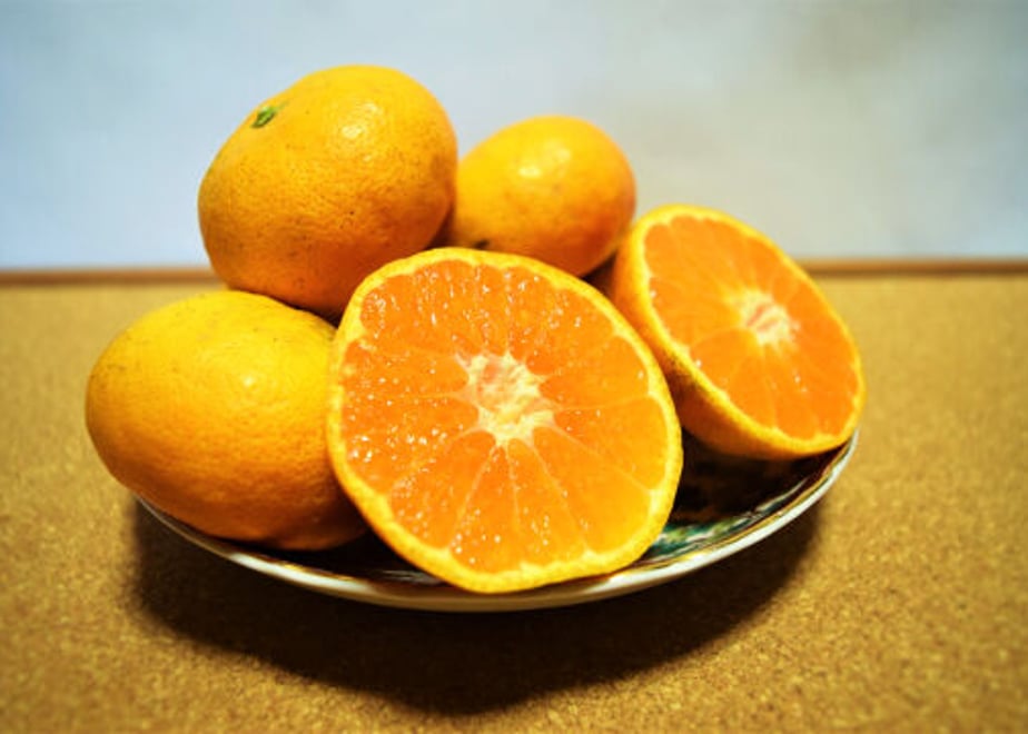 617ca4cf0548e0575123180d
