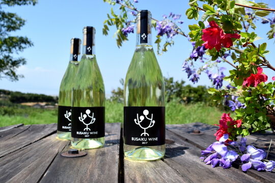 ワインディングセット 期間限定】みかんワインギフトセット【冬ギフト2022】 | 右田柑橘