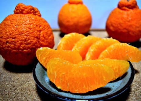 みかん BUSAIKU MIKAN」3kg 木成り完熟濃厚みかん熊本県産 有機JAS認証