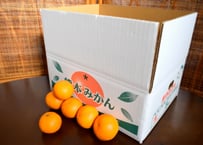 右田さんちのべっぴんさん　上野早生　10kg