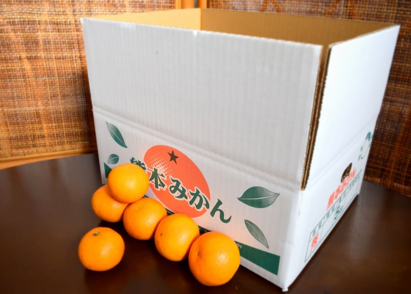 有機JAS認証】右田さんちのべっぴんさん 肥のみらい 5kg | 右田柑橘 