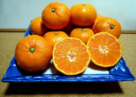 【有機JAS認証】ぶさいくミカン　BUSAIKU MIKAN　青島　3kg