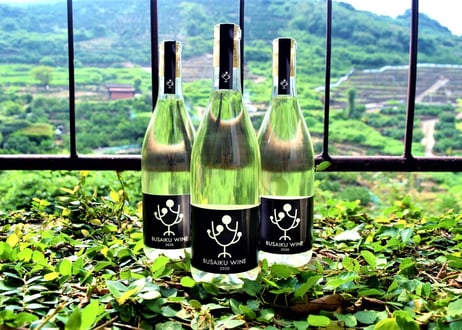 【PC配布終了しました】映画「熊本の彼氏」限定みかんワインボックス ぶさいくワイン BUSAIKU WINE 2021 720ml
