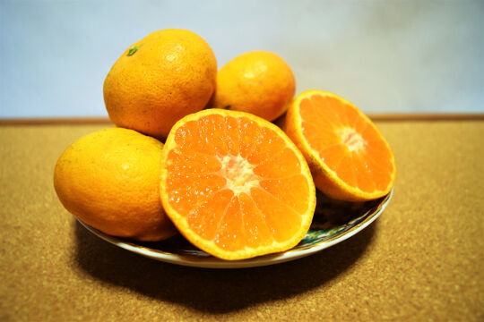 有機JAS認証】ぶさいくミカン BUSAIKU MIKAN 豊福 3kg | 右田柑橘 オン