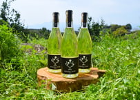 ぶさいくワイン  BUSAIKU WINE 2023  720ml