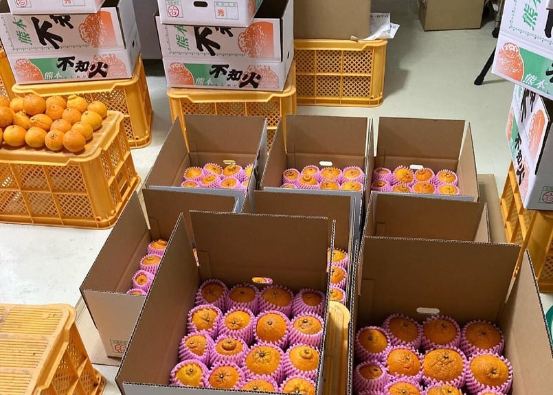 オレンジタウンかまぼこです西武警察 PART 2Vol-①～Vol-⑩D osawamarine_ns-10z-2