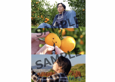 【PC配布終了しました】映画「熊本の彼氏」限定みかんワインボックス ぶさいくワイン BUSAIKU WINE 2021 720ml
