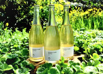 ぶさいくワイン スパークリング　BUSAIKU WINE Sparkling 2020　720ml