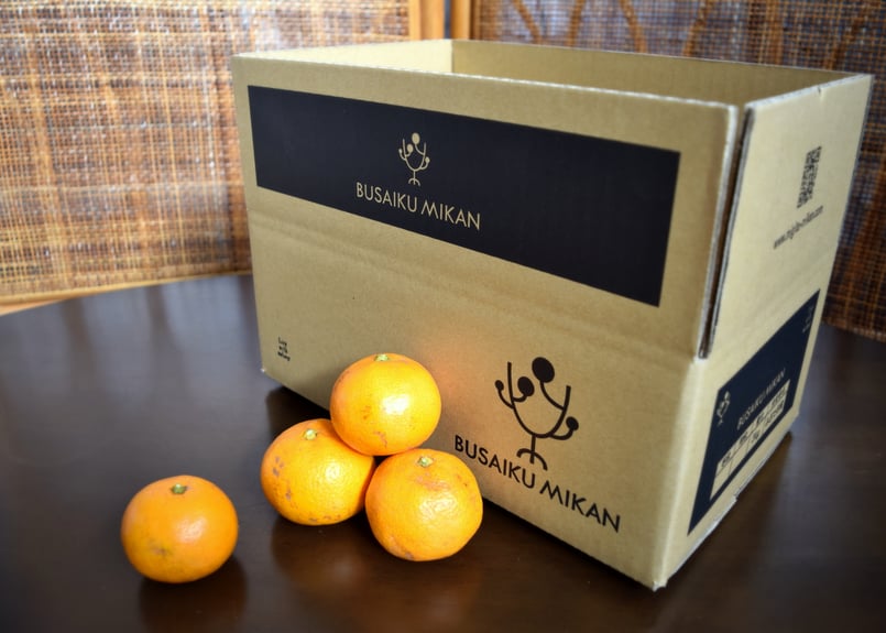 さんみかん様 【専用】 みかん様 みかん様 ミカン様 ミカン様 蜜柑様