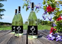 ぶさいくワイン　BUSAIKU WINE 2019　720ml