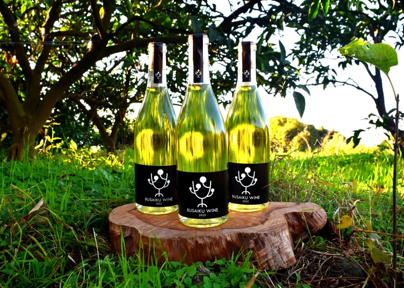 ぶさいくワイン BUSAIKU WINE 2022 720ml | 右田柑橘 オンラインストア
