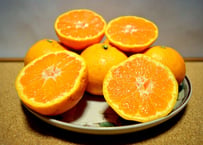 【有機JAS認証】ぶさいくミカン　BUSAIKU MIKAN　興津早生　7kg