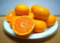 【有機JAS認証】ぶさいくミカン　BUSAIKU MIKAN　肥のみらい　7kg