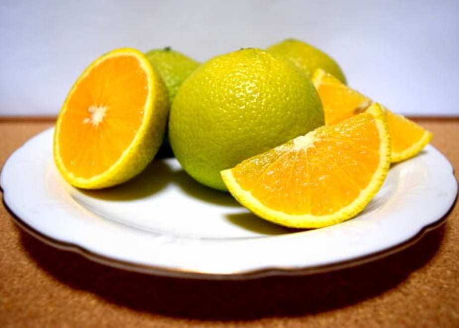 5fbdd092b00aa35f60975573