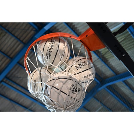 "ENERGIE" BASKETBALL / 太陽の光で色が変わるボール