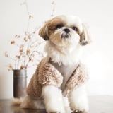 KOHARU