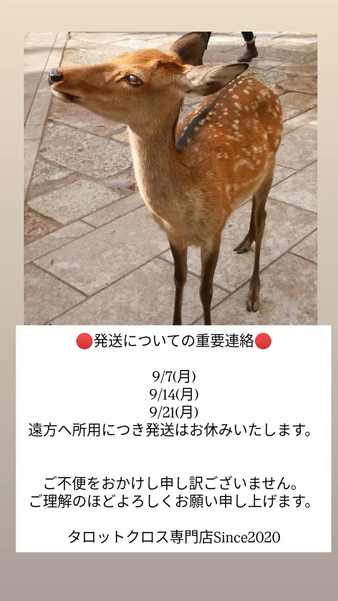 【女性専用】日・月曜日定休